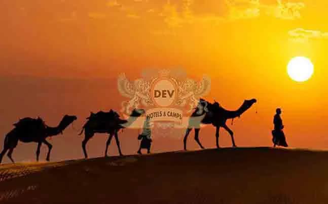 Camel silhouettes beneath the setting sun