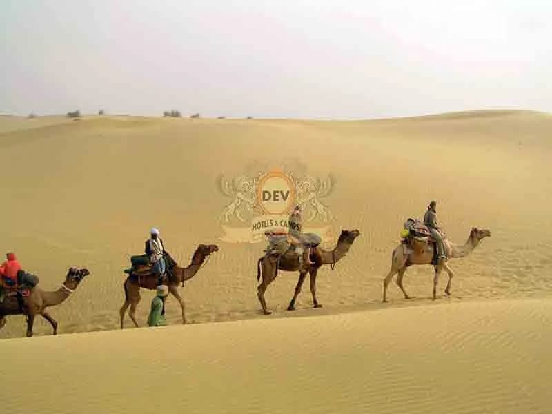Camel safari at the Sam Sand Dunes