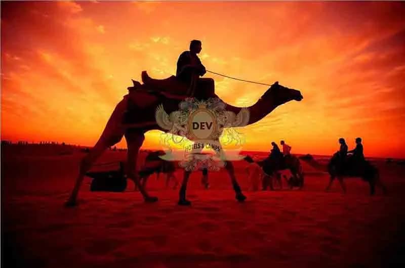Camel with rider silhouetted against a blazing sunset